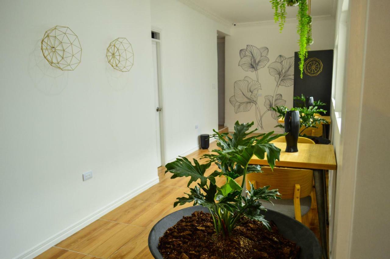 Three House Hostel Boutique Filandia Exteriér fotografie
